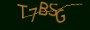validcode